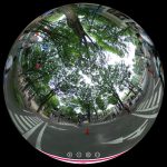 杉並児童交通公園で自転車練習!360度写真レポート&バーチャル体験