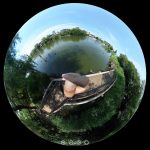 石神井公園で自然に触れる遊びを!360度写真付きで紹介