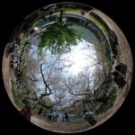 千鳥ヶ淵の桜を360度写真付きでレポート!ボートの浮かぶお堀でお花見しよう。