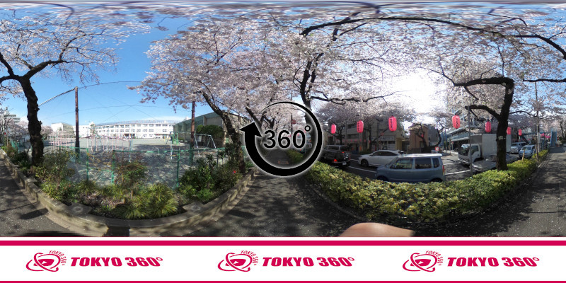 中野桜まつり-360度写真10