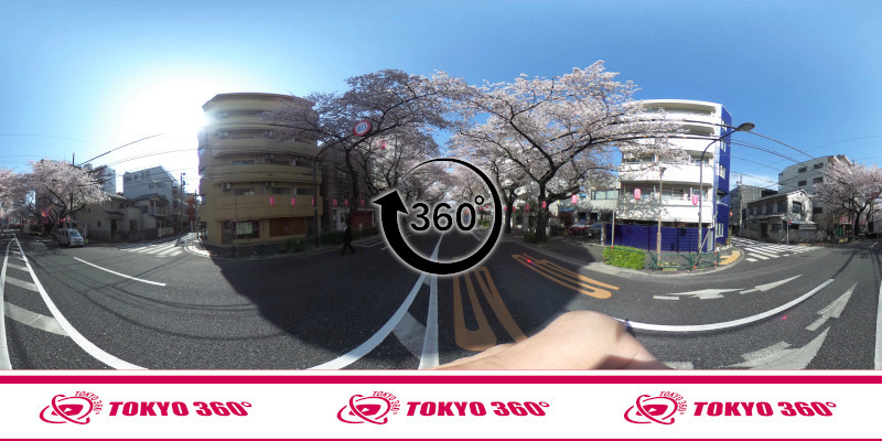 中野桜まつり-360度写真15