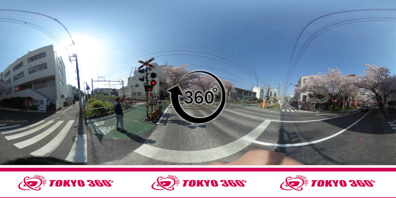 中野桜まつり-360度写真16