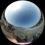 ひたち海浜公園のネモフィラを360度写真レポート。青の絶景をバーチャル体験!