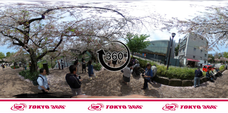 千鳥ヶ淵の桜-360度写真-03
