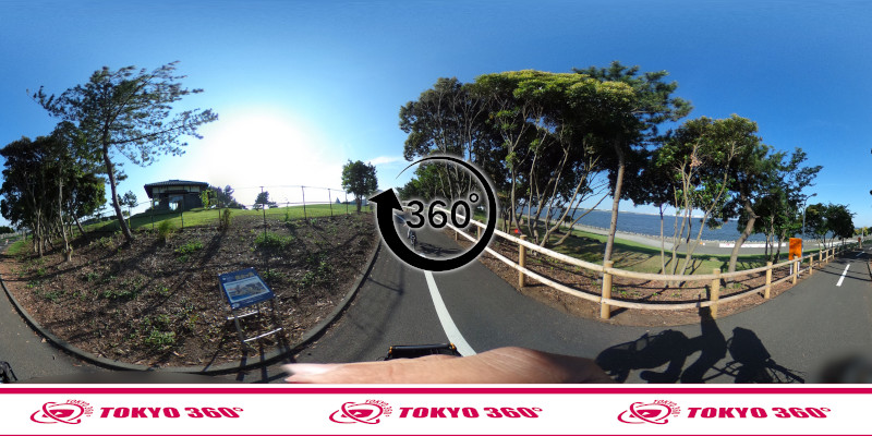 若洲海浜公園サイクリングロード-360度写真-19