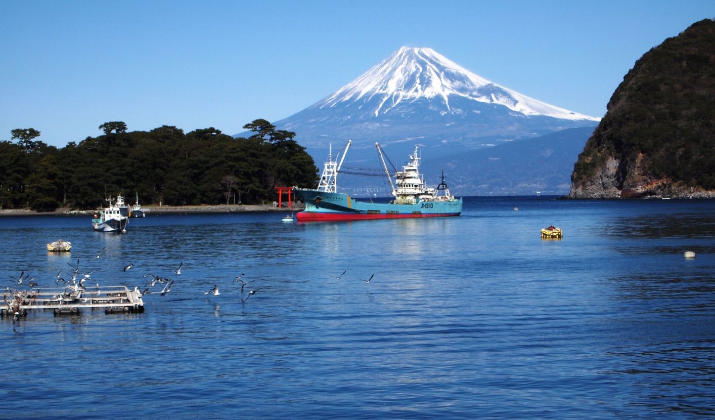 戸田港と富士山