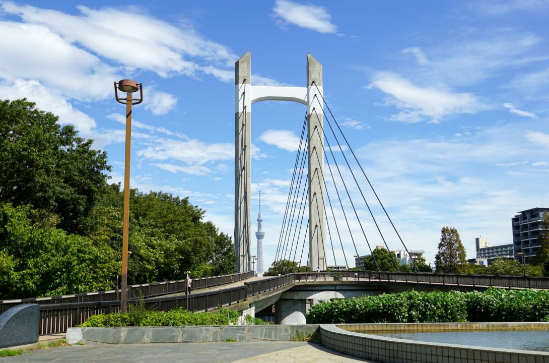 木場公園の橋