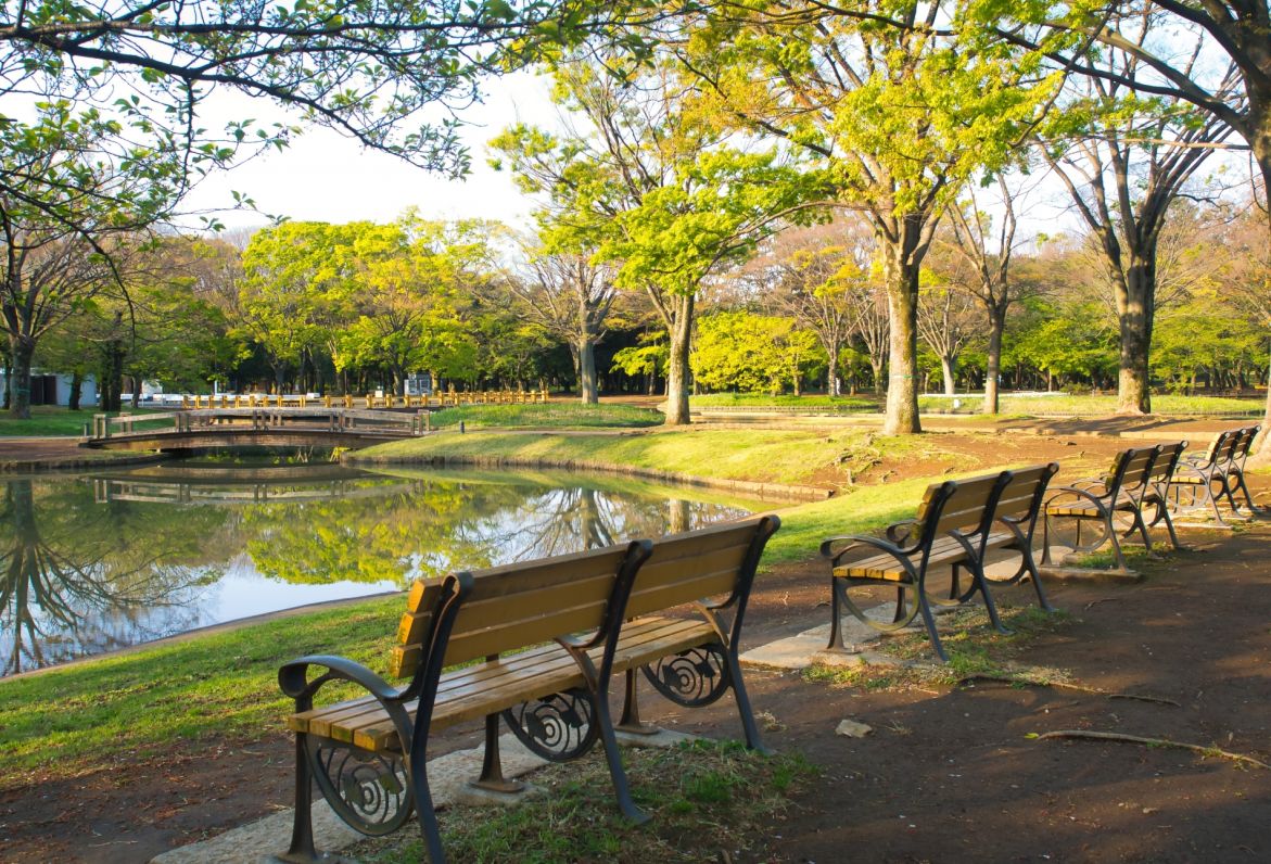 代々木公園-池とベンチ