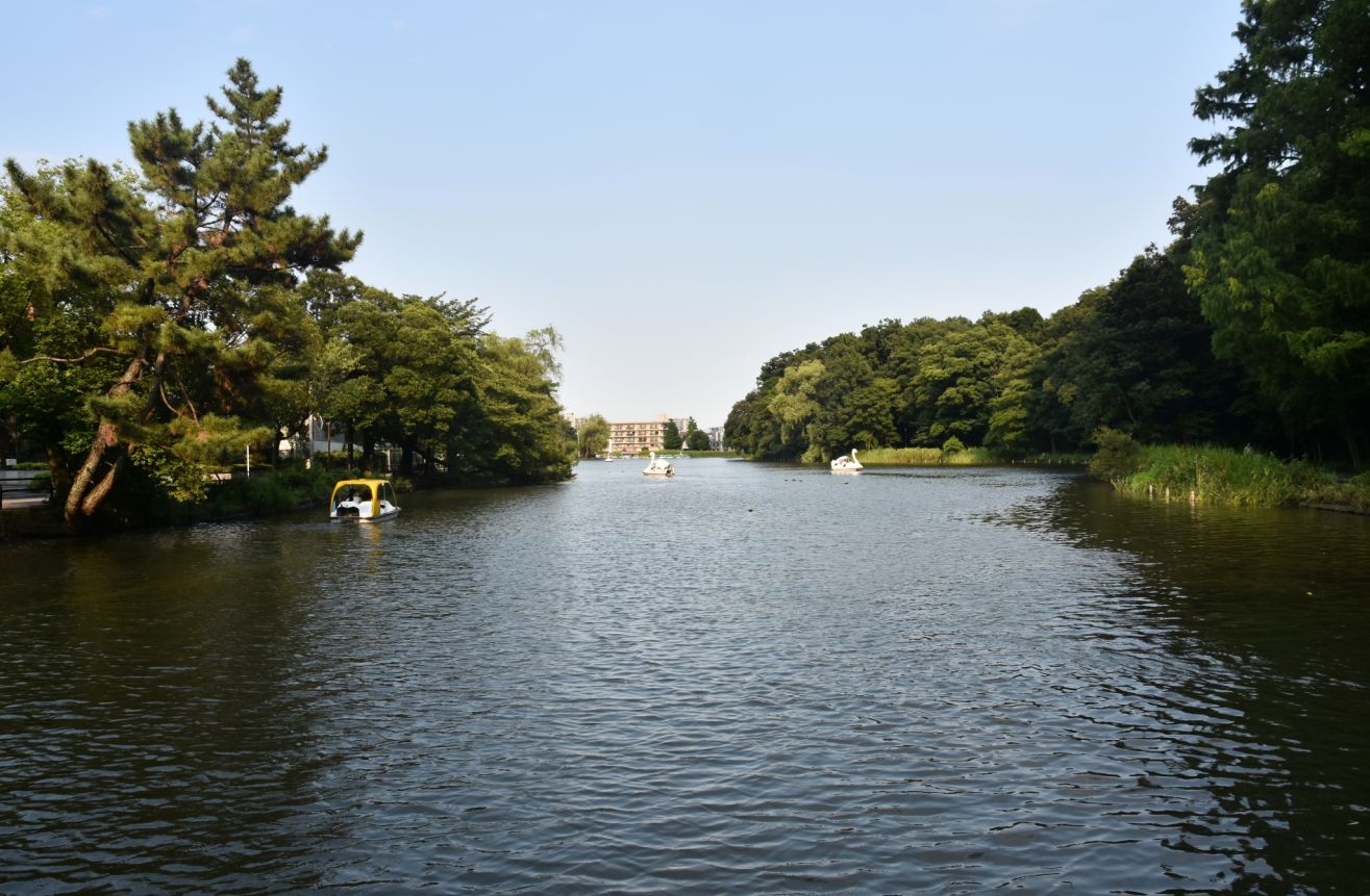 石神井公園-石神井池の風景