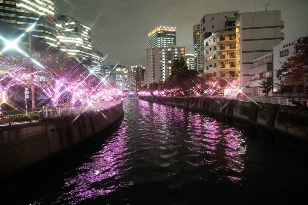 目黒川-イルミネーション