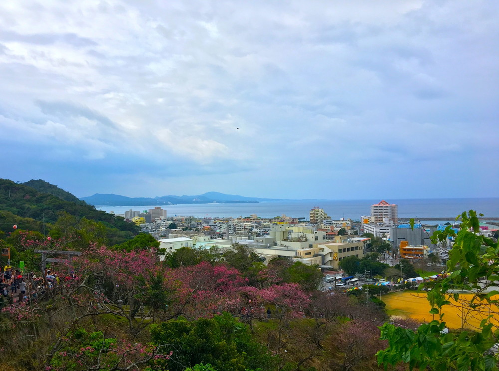 名護城跡からの景色