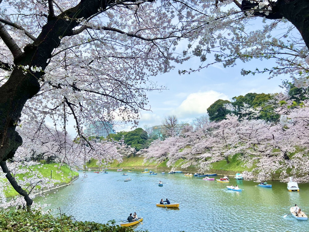 千鳥ヶ淵公園