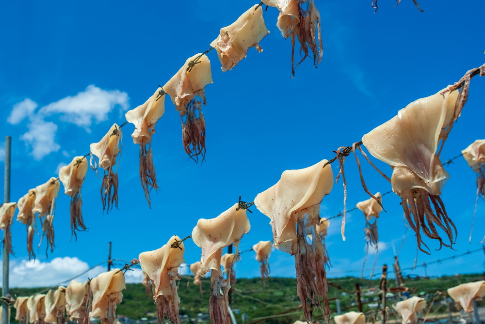 奥武島-イカの天日干し