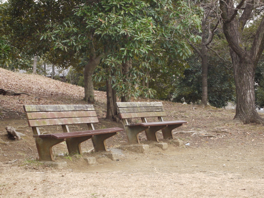 あざみ野東公園