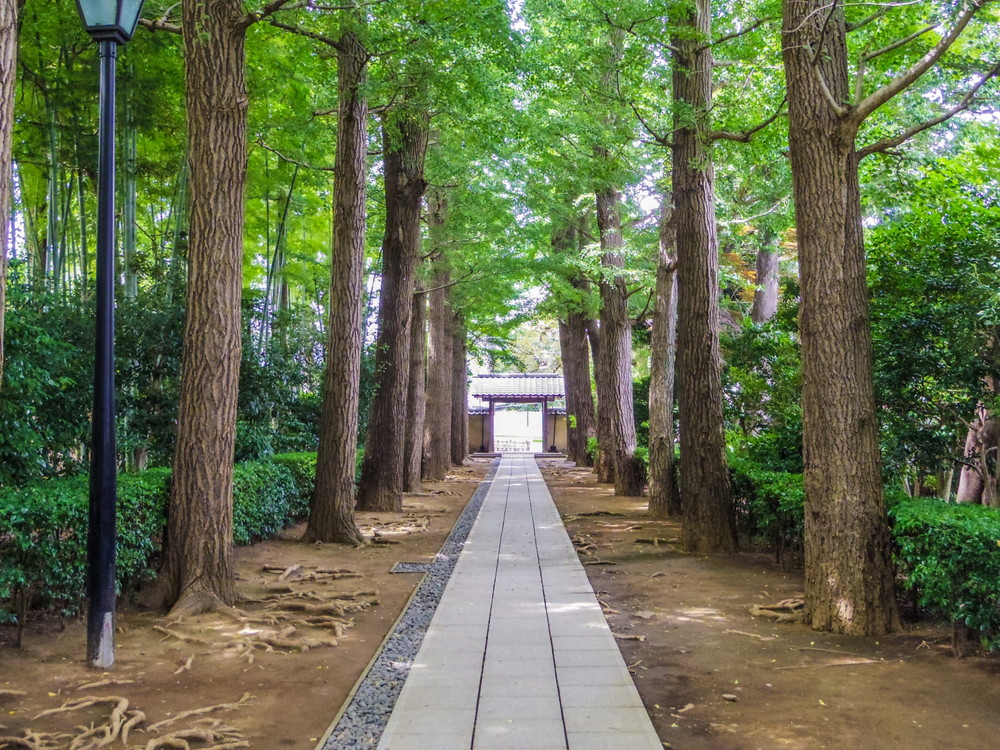 大田黒公園