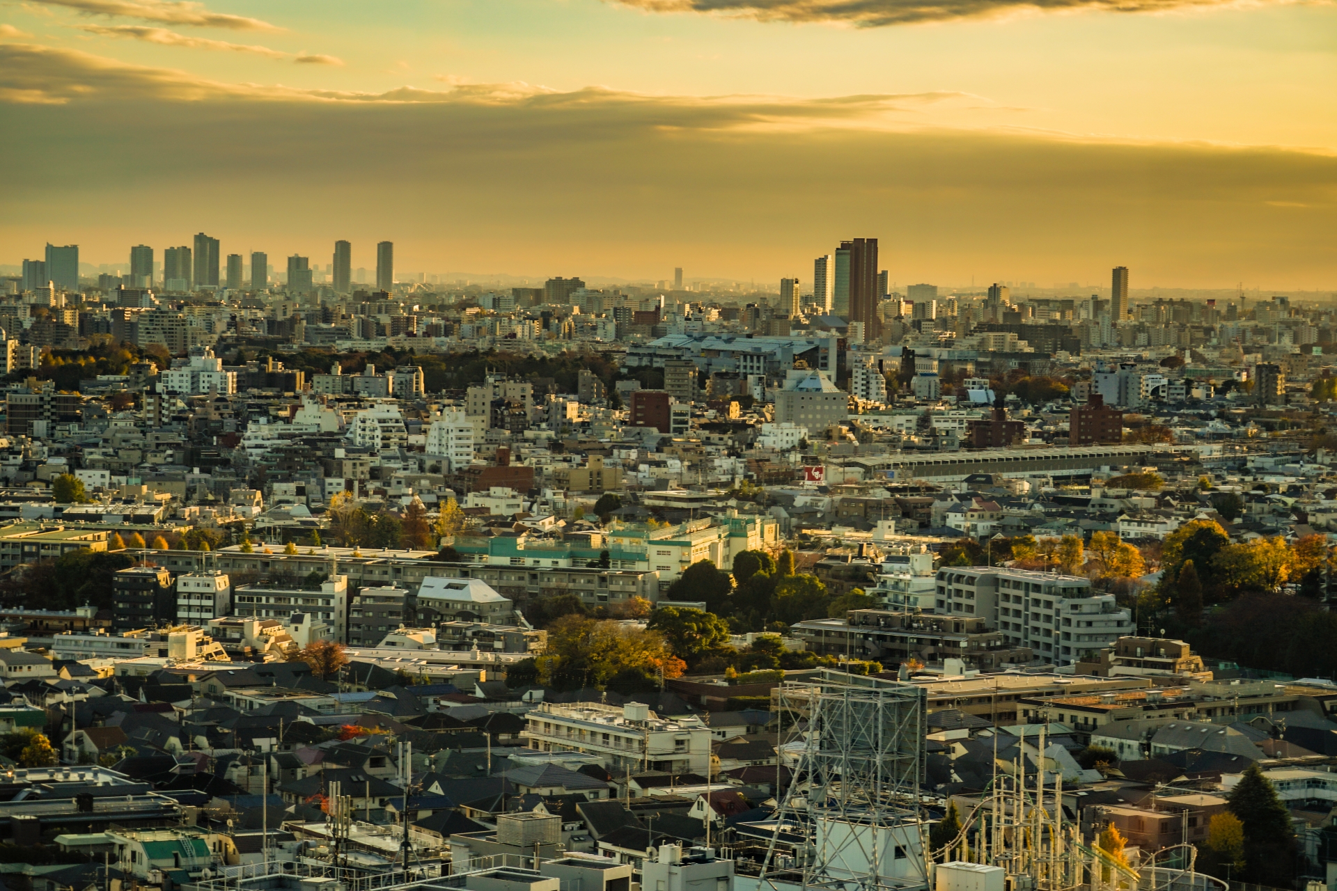 オペラシティの展望台からの風景