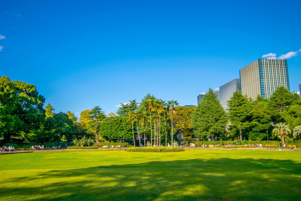 日比谷公園の風景