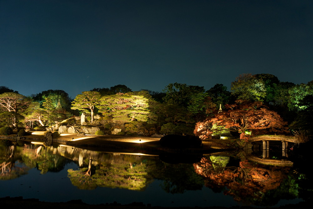 六義園のライトアップ