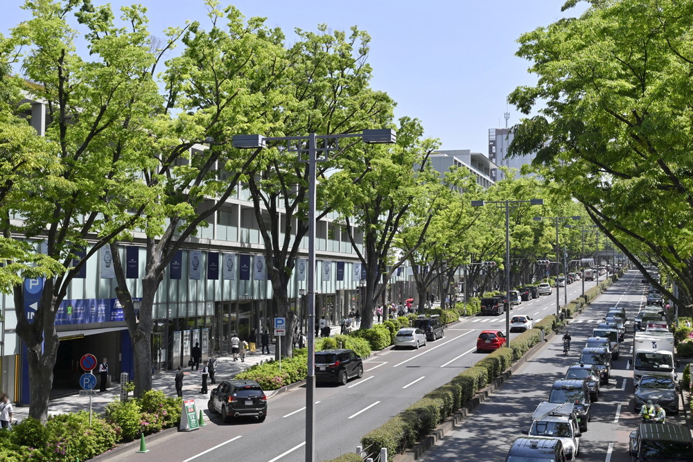 表参道の風景
