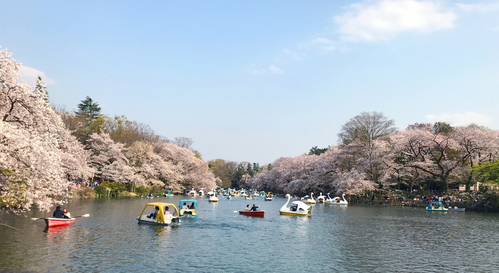 井の頭恩賜公園の池