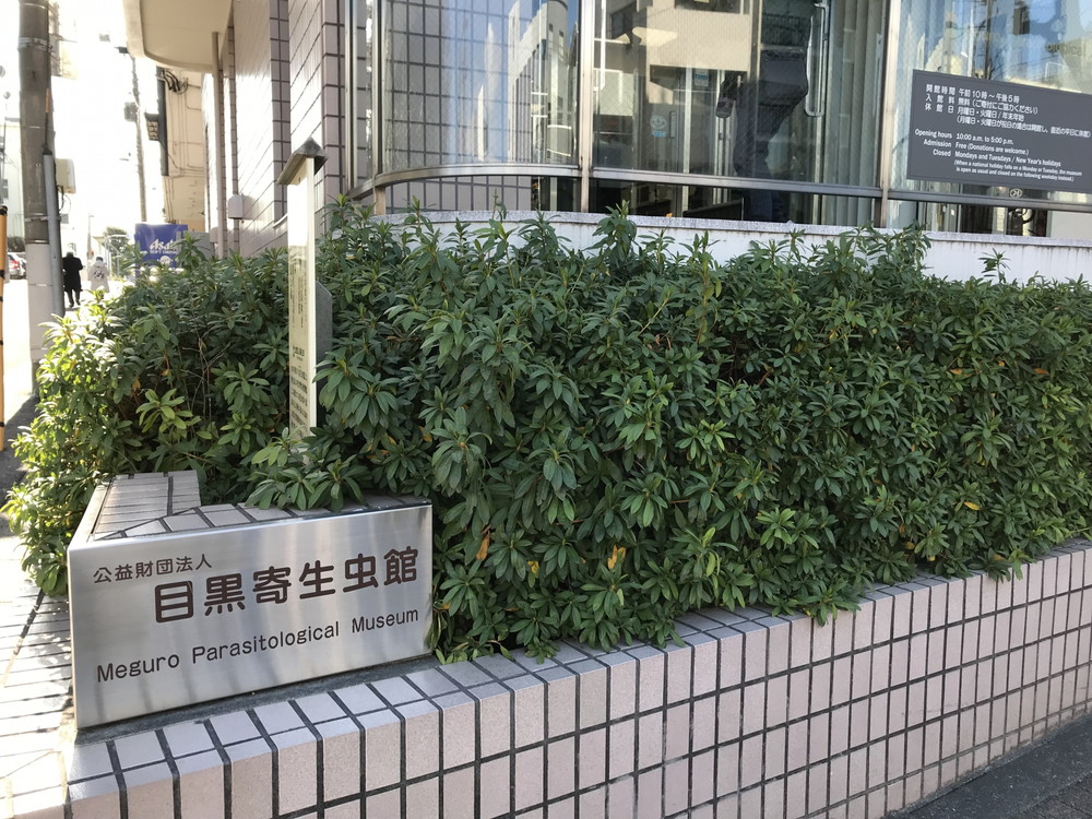 目黒寄生虫館